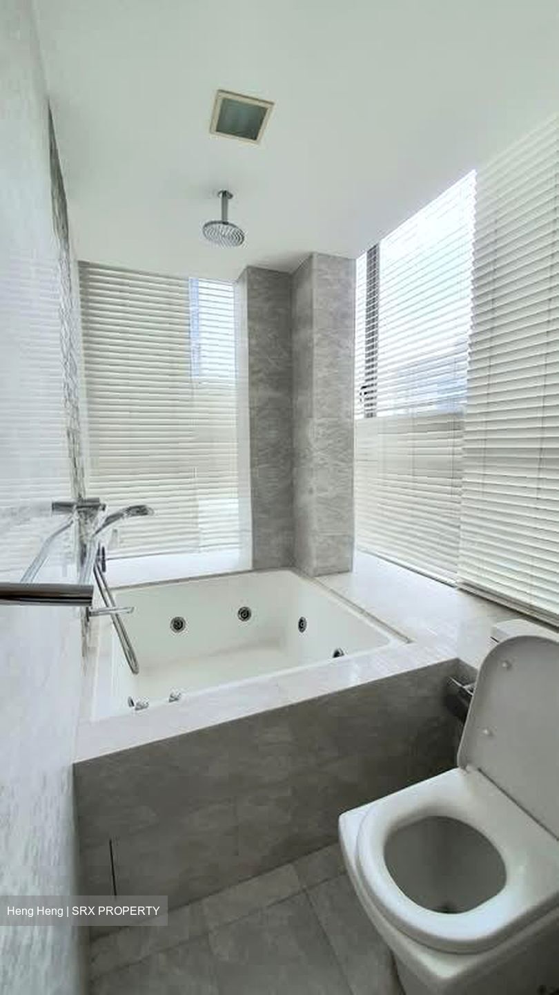 Angullia Park Residences @ Orchard (D10), Apartment #578672871